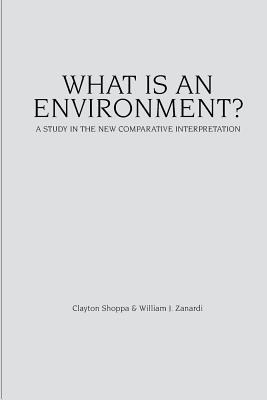 What Is an Environment?: A Study in the New Comparative Interpretation