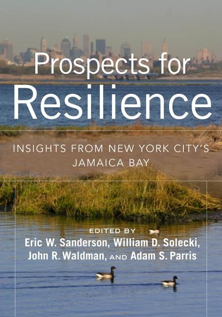 Prospects for Resilience: Insights from New York Citys Jamaica Bay