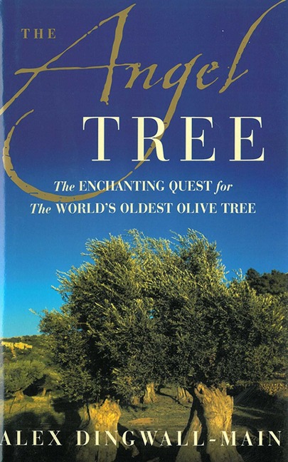 The Angel Tree: The Enchanting Quest for the Worlds Oldest Olive Tree