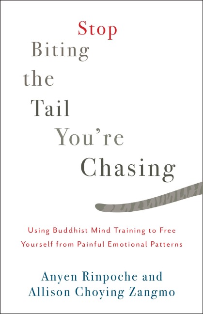 Stop Biting the Tail You're Chasing: Using Buddhist Mind Training to Free Yourself from Painful Emotional Patterns