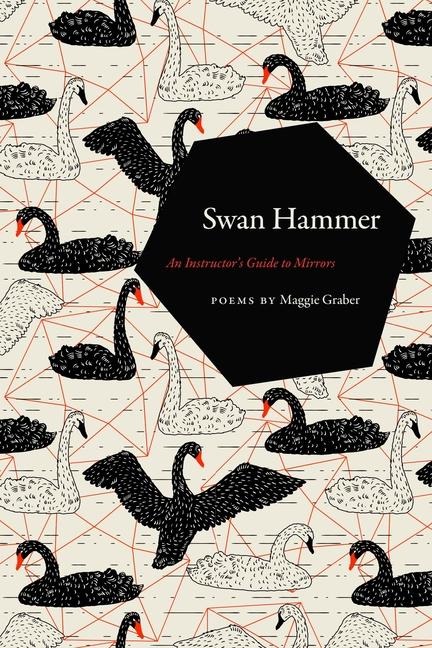 Swan Hammer: An Instructors Guide to Mirrors
