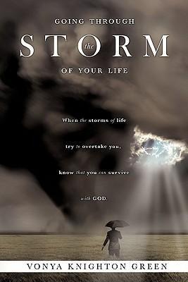 Going Through the Storm of Your Life