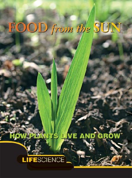 Food From The Sun