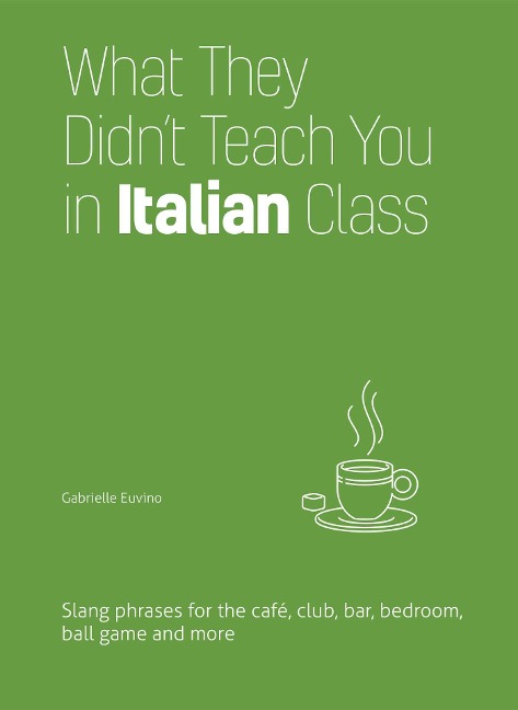 What They Didn't Teach You in Italian Class: Slang Phrases for the Cafe, Club, Bar, Bedroom, Ball Game and More