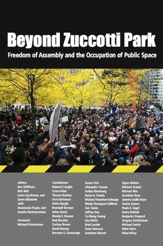 Beyond Zuccotti Park Freedom of Assembly and the Occupation of Public Space