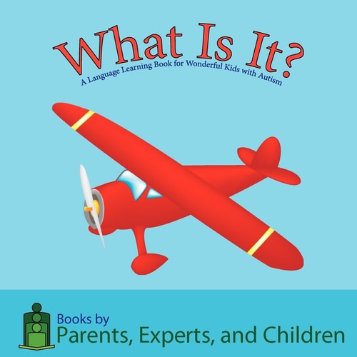 What Is It? A Language Learning Book for Wonderful Children with Autism