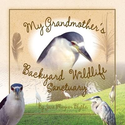 My Grandmothers Backyard Wildlife Sanctuary