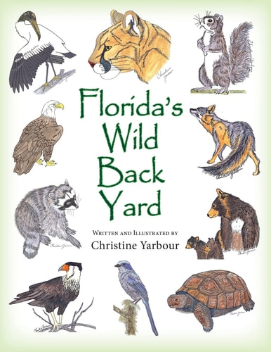 Florida's Wild Back Yard