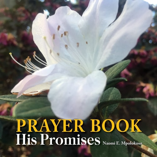 Prayer Book His Promises