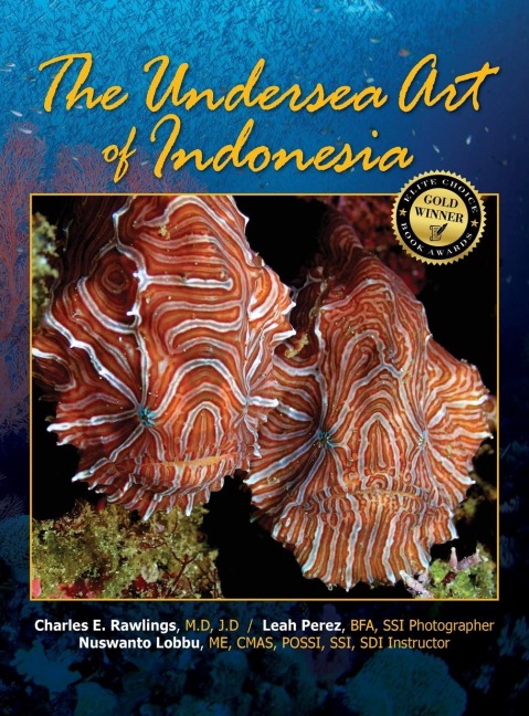 The Undersea Art of Indonesia