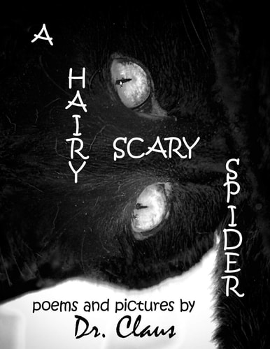 A Hairy Scary Spider
