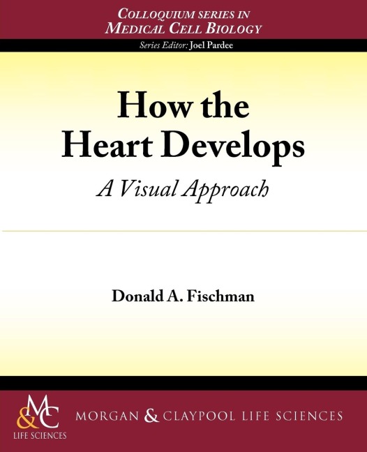 How the Heart Develops: A Visual Approach