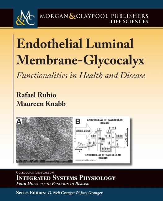 Endothelial Luminal Membrane-Glycocalyx: Functionalities in Health and Disease