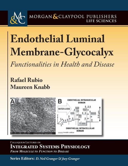 Endothelial Luminal Membrane-Glycocalyx: Functionalities in Health and Disease
