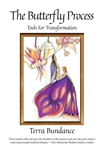 The Butterfly Process Tools for Transformation