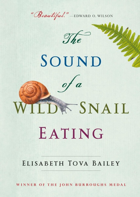 The Sound of a Wild Snail Eating