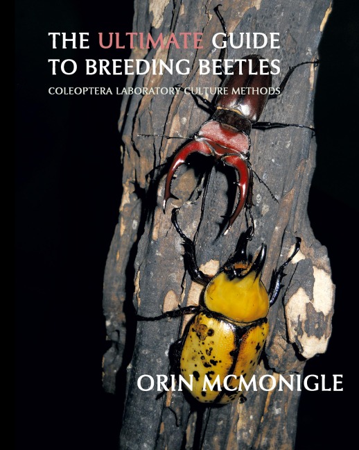 The Ultimate Guide to Breeding Beetles: Coleoptera Laboratory Culture Methods