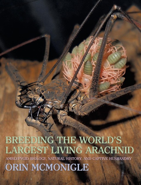 Breeding the Worlds Largest Living Arachnid: Amblypygid (Whipspider) Biology, Natural History, and Captive Husbandry