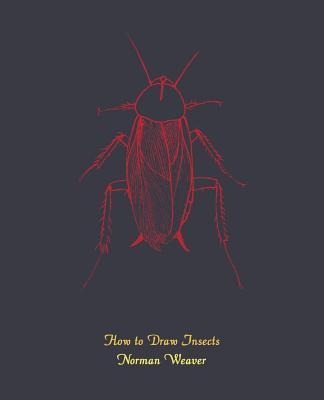 How to Draw Insects (Facsimile Reprint)