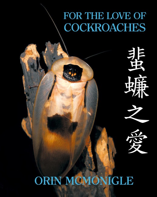 For the Love of Cockroaches: Husbandry, Biology, and History of Pet and Feeder Blattodea
