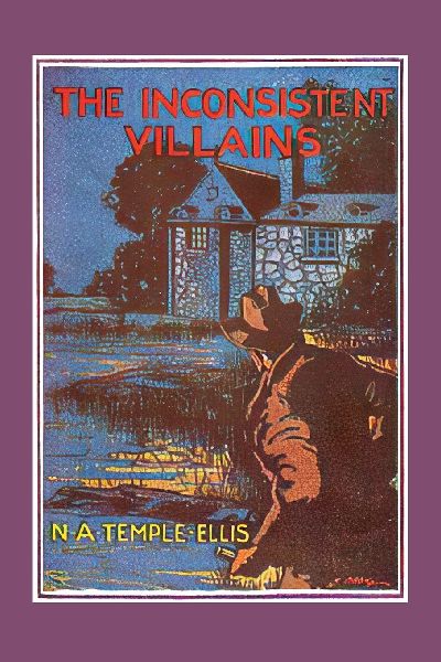 The Inconsistent Villains