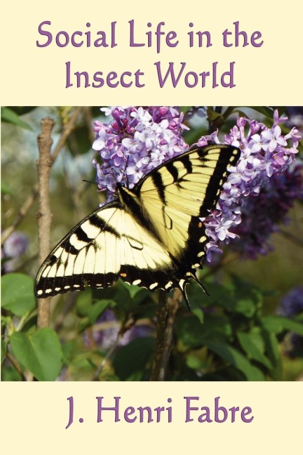 Social Life in the Insect World: Observations on Behavior and Organization in the Insect World