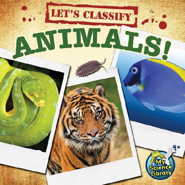 Lets Classify Animals!