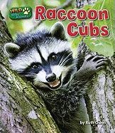 Raccoon Cubs