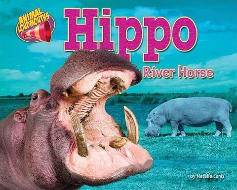 Hippo: River Horse