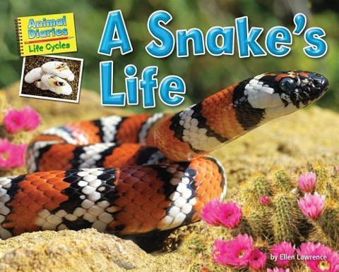 A Snakes Life