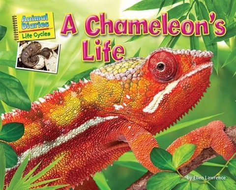 A Chameleons Life