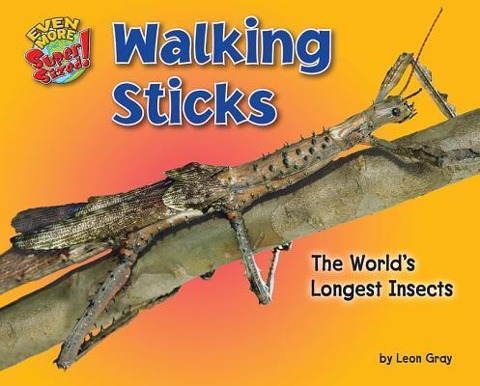 Walking Sticks: The Worlds Longest Insects