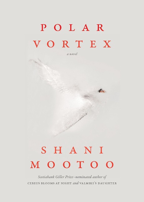 Polar Vortex
