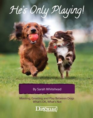 He's Only Playing: Meeting, Greeting and Play Between Dogs. What's Ok, What's Not.