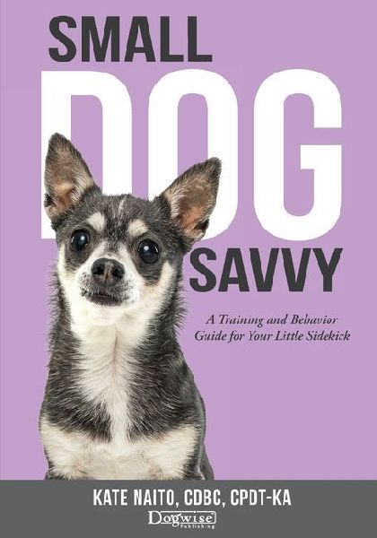 Small Dog Savvy