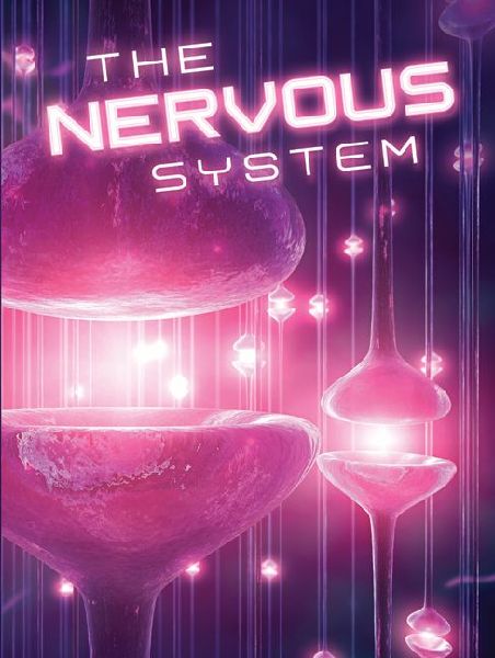 Nervous System