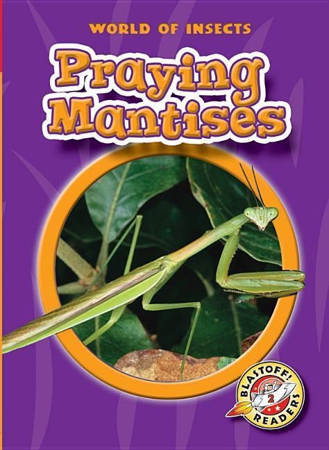 Praying Mantises