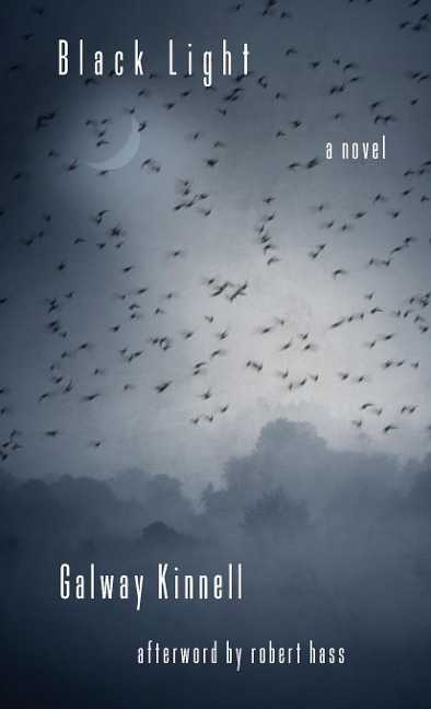 Black Light: A Novel