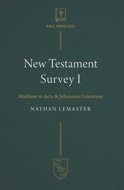 New Testament Survey I: Matthew to Acts & Johannine Literature