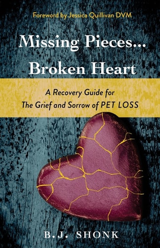 Missing Pieces... Broken Heart A Recovery Guide for the Grief and Sorrow of Pet Loss