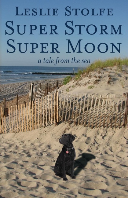 Super Storm Super Moon: A Tale from the Sea