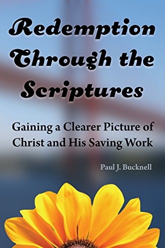 Redemption Through the Scriptures Gaining a Clearer Picture of Christ and His Saving Work