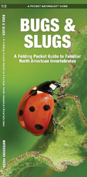 Bugs & Slugs, 2nd Ed: A Folding Pocket Guide to Familiar North American Invertebrates
