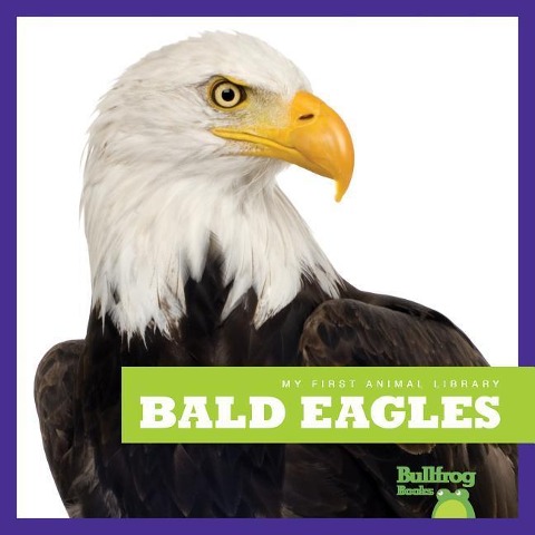 Bald Eagles