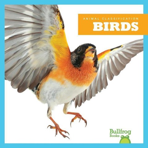 Birds