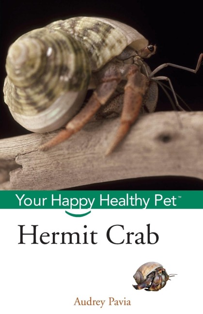 Hermit Crab: Your Happy Healthy Pet