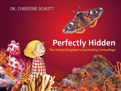 Perfectly Hidden: The Animal Kingdoms Fascinating Camouflage