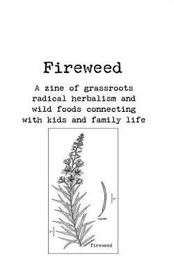 Fireweed #1: A Zine of Grassroots Radical Herbalism and Wild Foods Connecting with Kids and Family Life