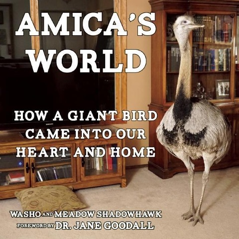Amicas World: How a Giant Bird Came Into Our Heart and Home