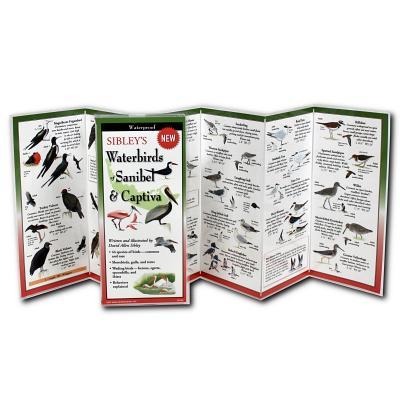 Sibleys Waterbirds of Sanibel & Captiva